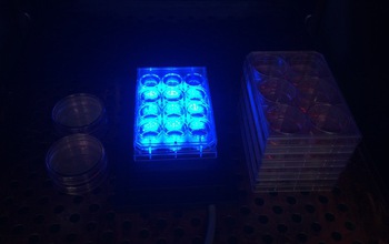 Blue light shines on cell cultures